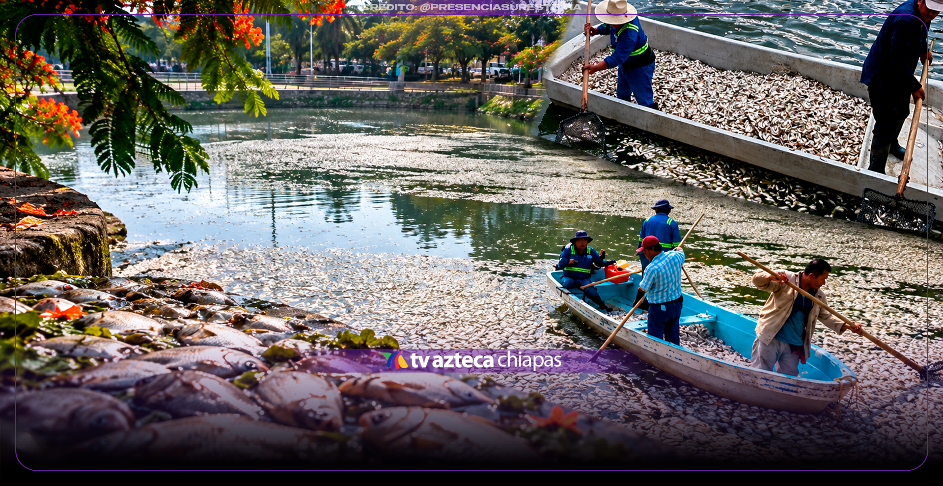 Al menos 6 eventos de mortandad de peces se han registrado en el último mes en Villahermosa