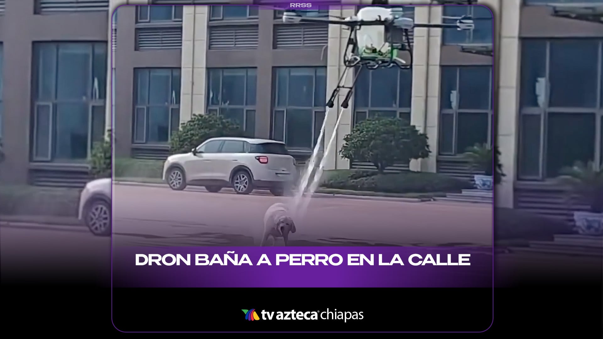 DRON BAÑA A PERRO EN LA CALLE
