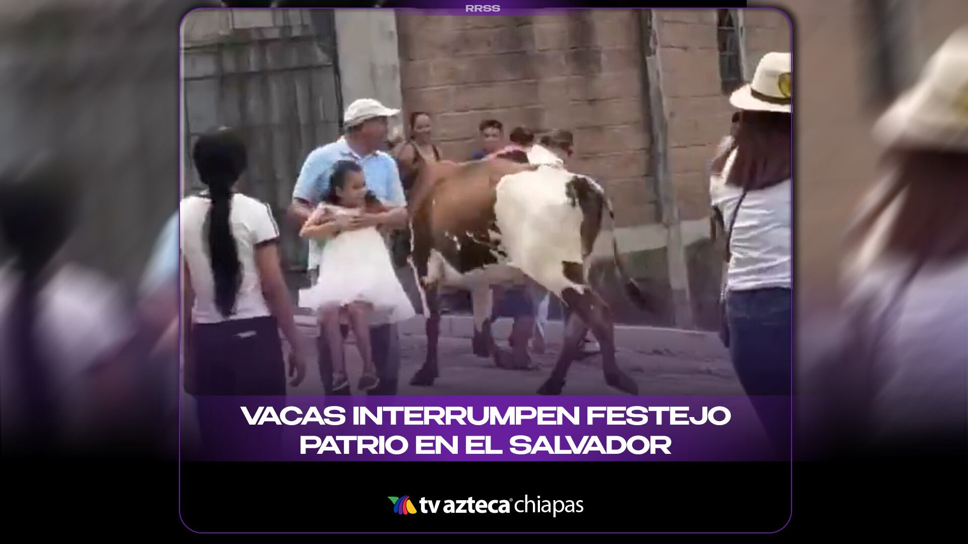 VACAS INTERRUMPEN FESTEJO PATRIO EN EL SALVADOR