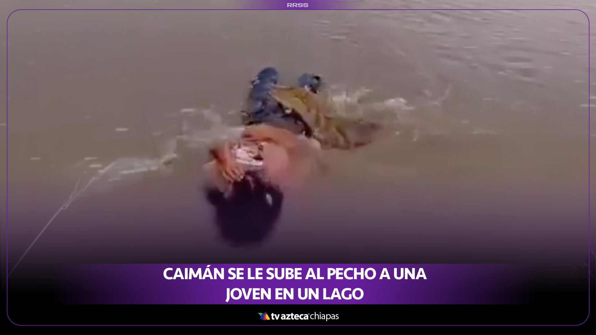 CAIMÁN SE LE SUBE AL PECHO