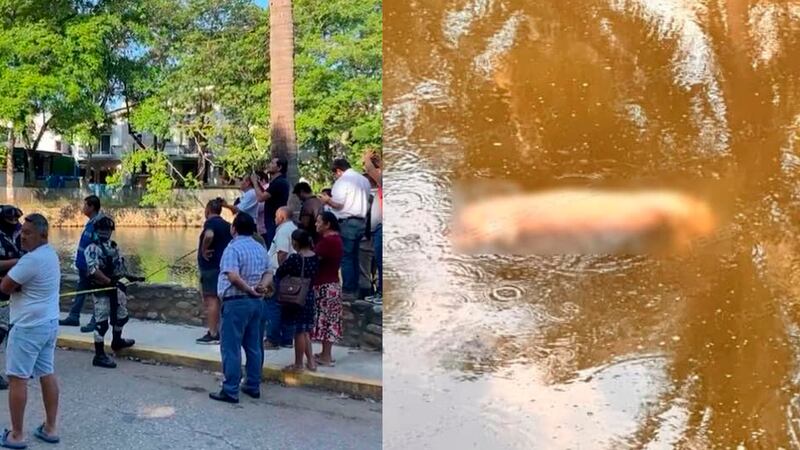 Cocodrilo ataca a hombre en Villahermosa: Hallan restos humanos en Laguna de las Ilusiones