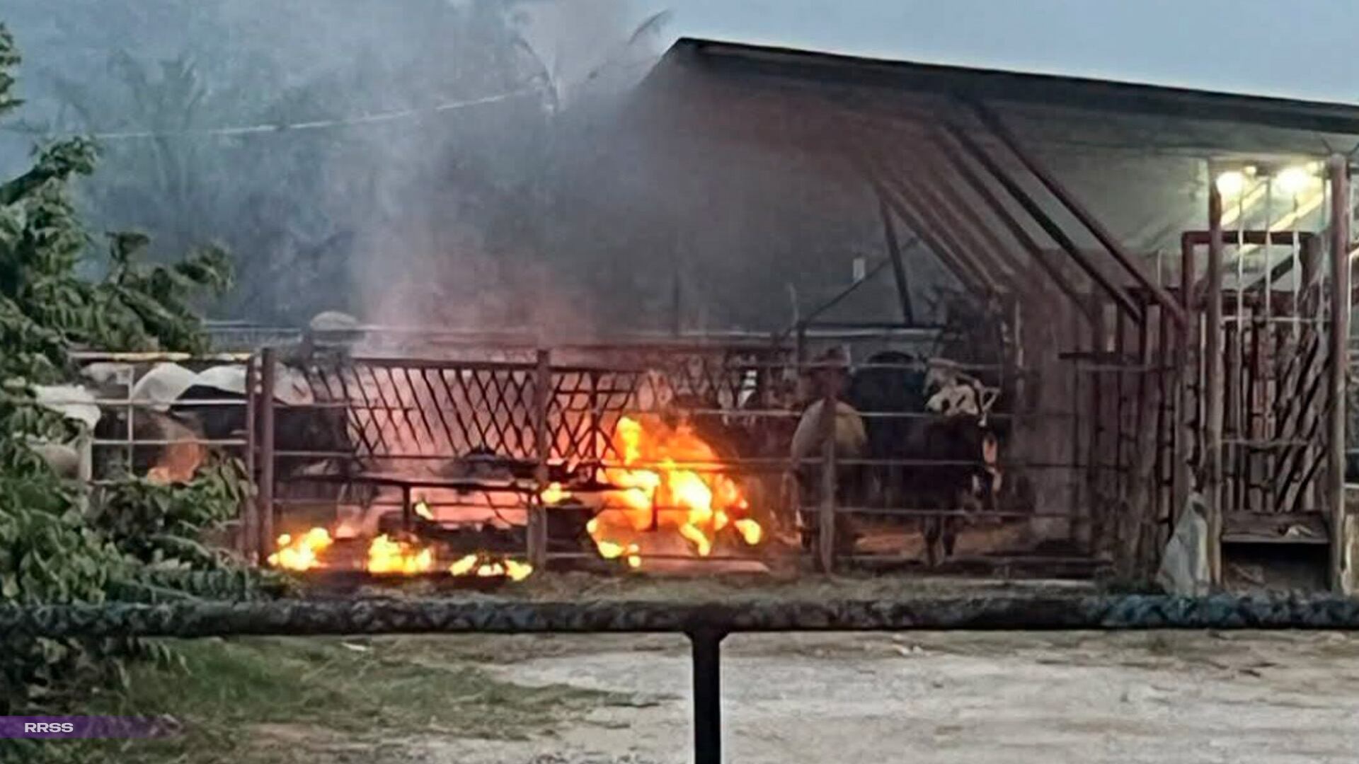 ¡Alerta en Jalapa! Reportan fuerte incendio en centro de acopio de ganado en Carolina