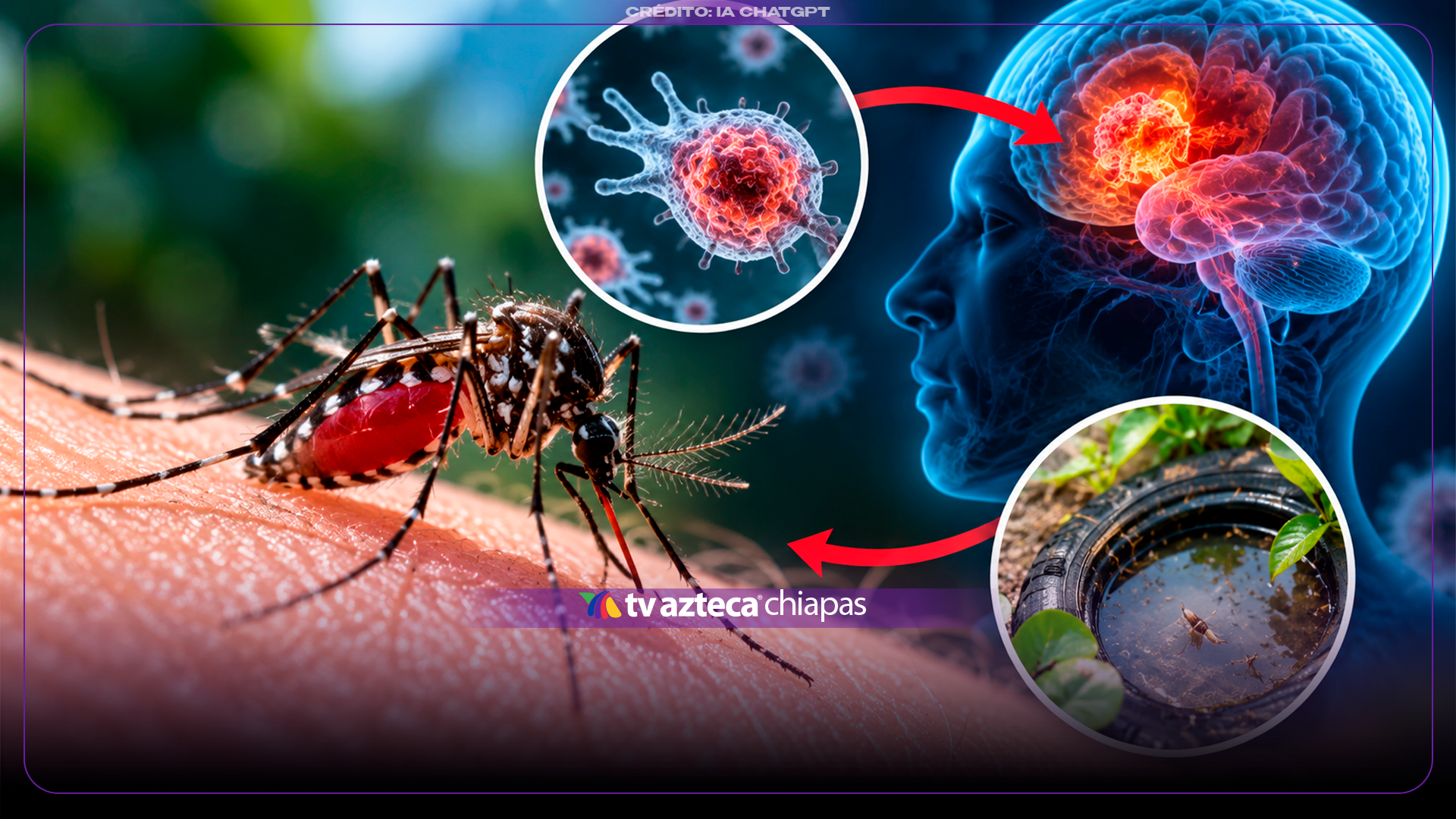 ¡Nuevo virus mortal! Muere primer persona por Shamonda ¿Qué es y cómo se contagia?