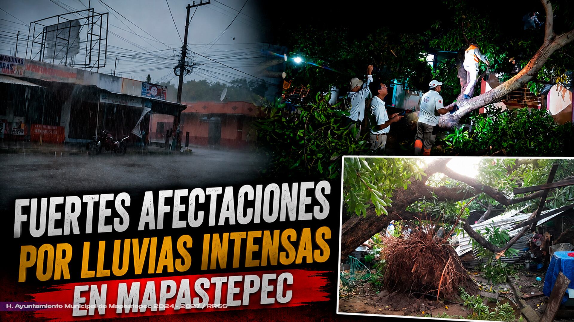 ¡Lluvias y fuertes vientos azotan Mapastepec! Colapsan árboles sobre viviendas