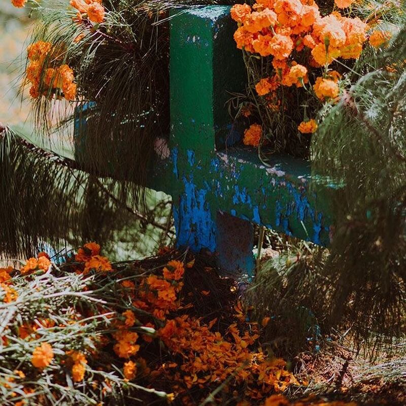 Panteones en Zinacantán el Día de Muertos: Tradición ancestral