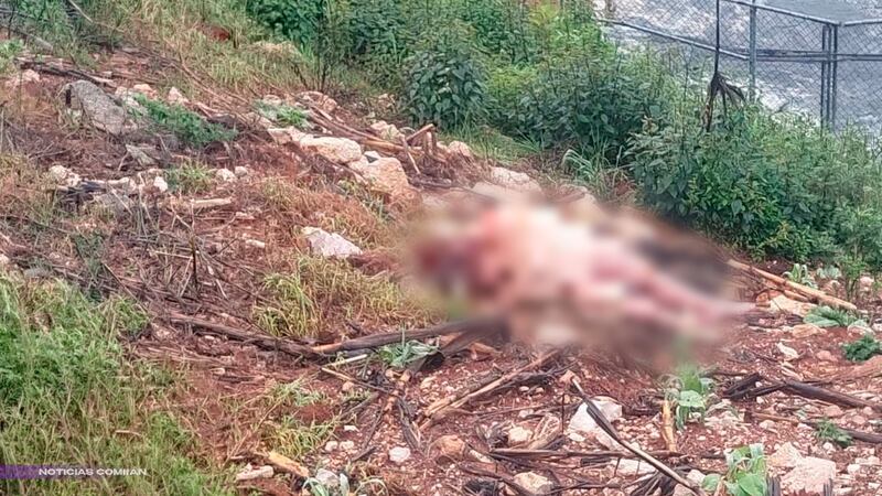 Hallan a mujer sin vida en Zinacantán Chiapas; investigan feminicidio