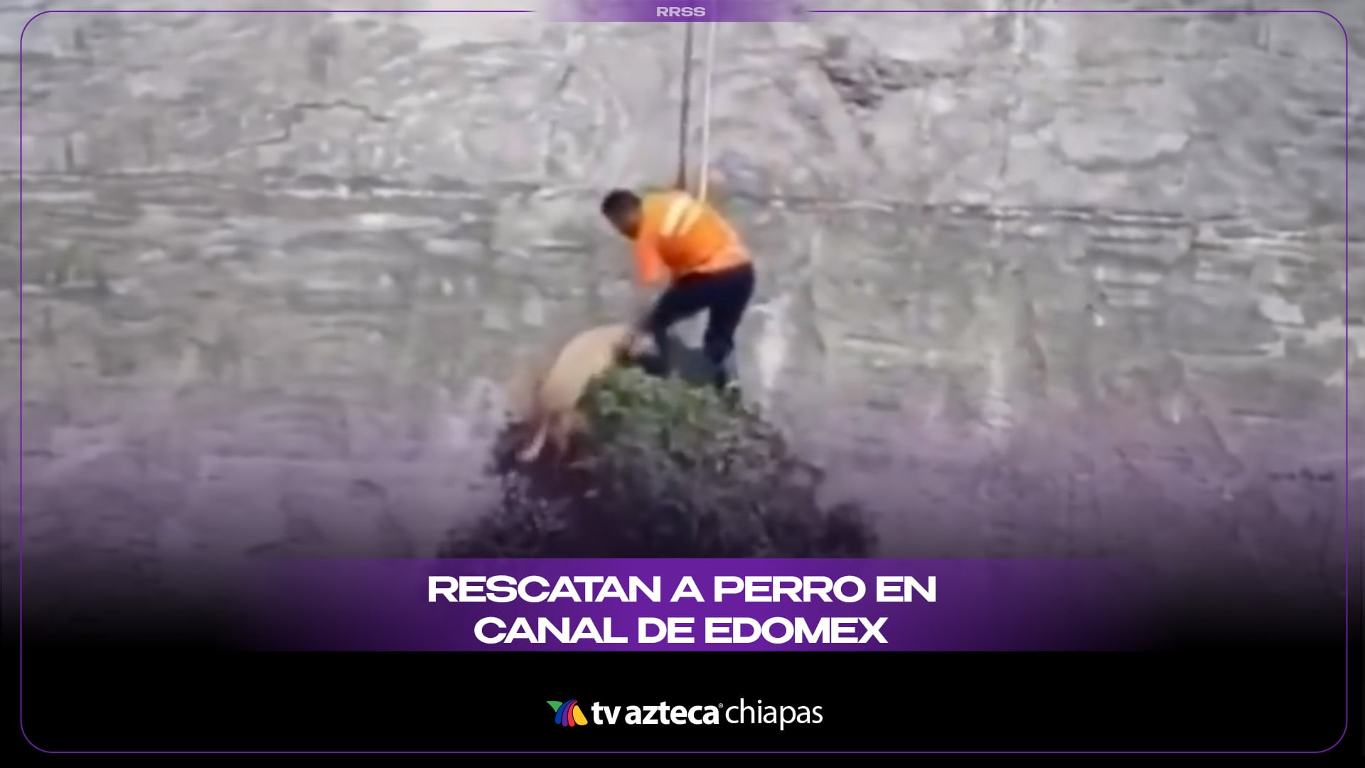 ¡Lomito salvado! Rescatan a perro de canal en Edomex