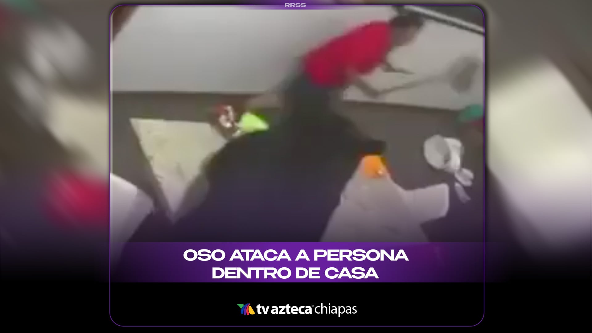 OSO ATACA A PERSONA DENTRO DE CASA