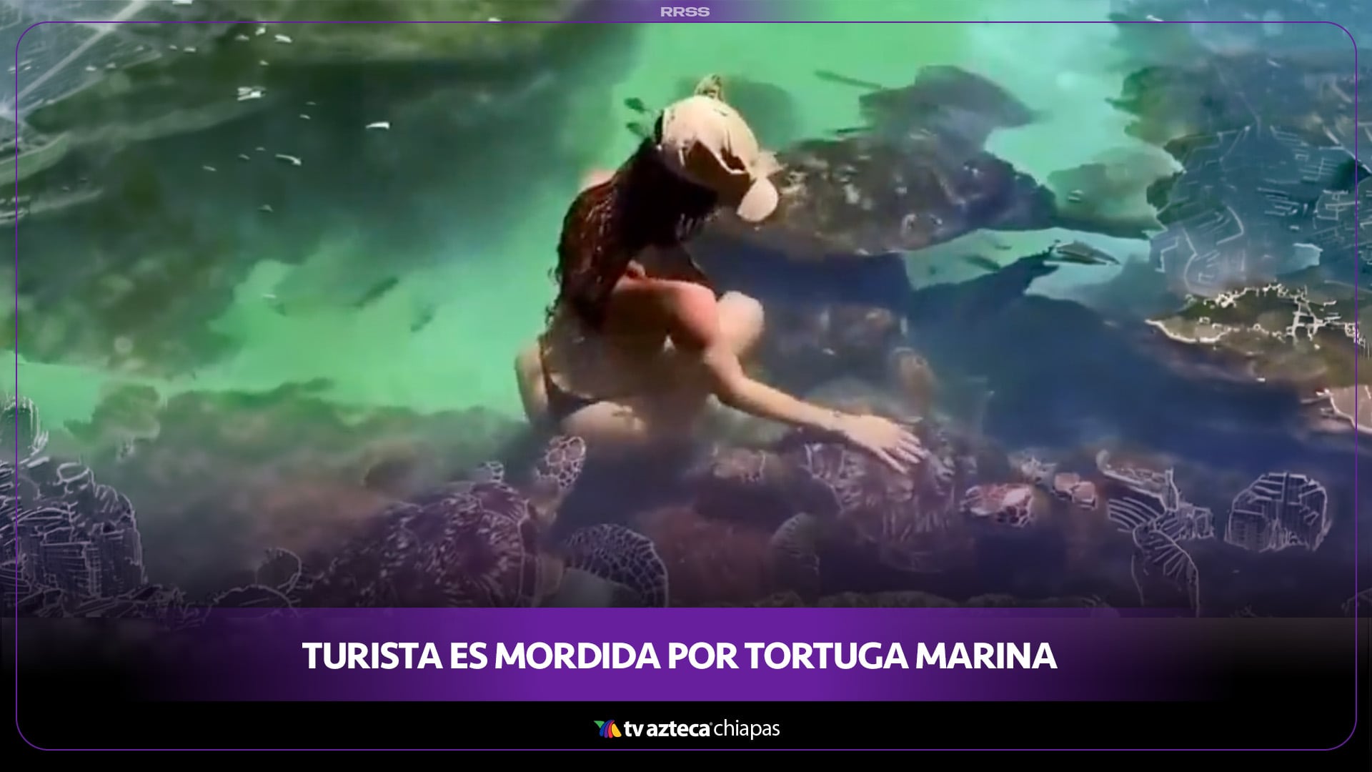 TURISTA ES MORDIDA POR TORTUGA MARINA
