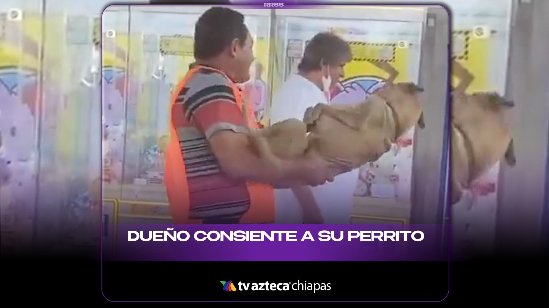 DUEÑO CONSIENTE A SU PERRITO