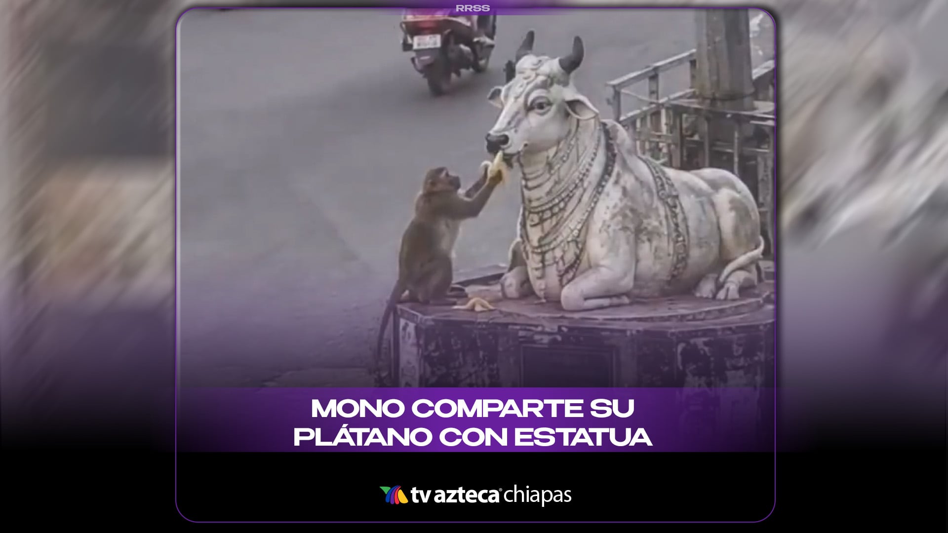 MONO COMPARTE SU PLÁTANO CON ESTATUA
