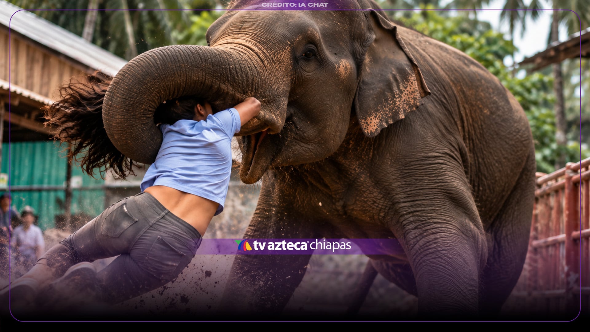 Video: Elefante enfurecido rompe sus cadenas y at4c4 a su cuidador y asistentes en pleno festival