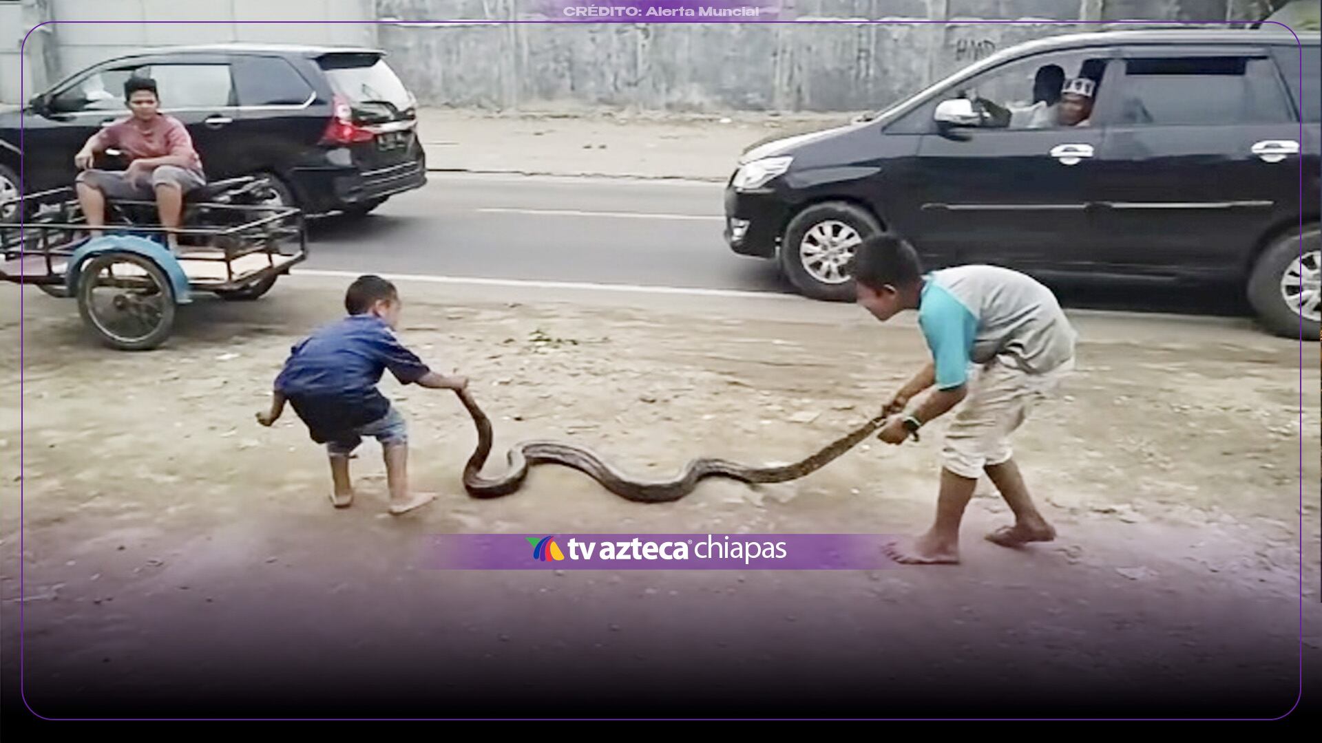 ¡Increíble! Niños usan una enorme serpiente viva para saltar la cuerda