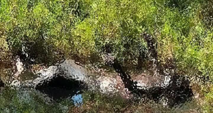 Encuentran cadáver en el municipio de Teapa