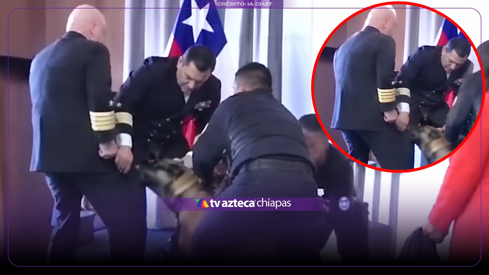 VIDEO: ¡No soltaba el pantalón! Perro antidrogas ataca el bolsillo de un militar durante ceremonia