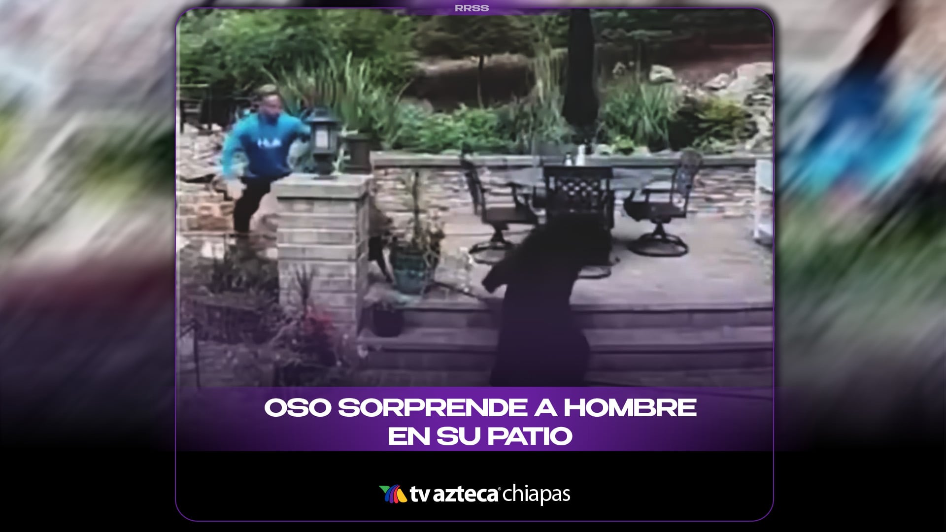 OSO SORPRENDE A HOMBRE EN SU PATIO