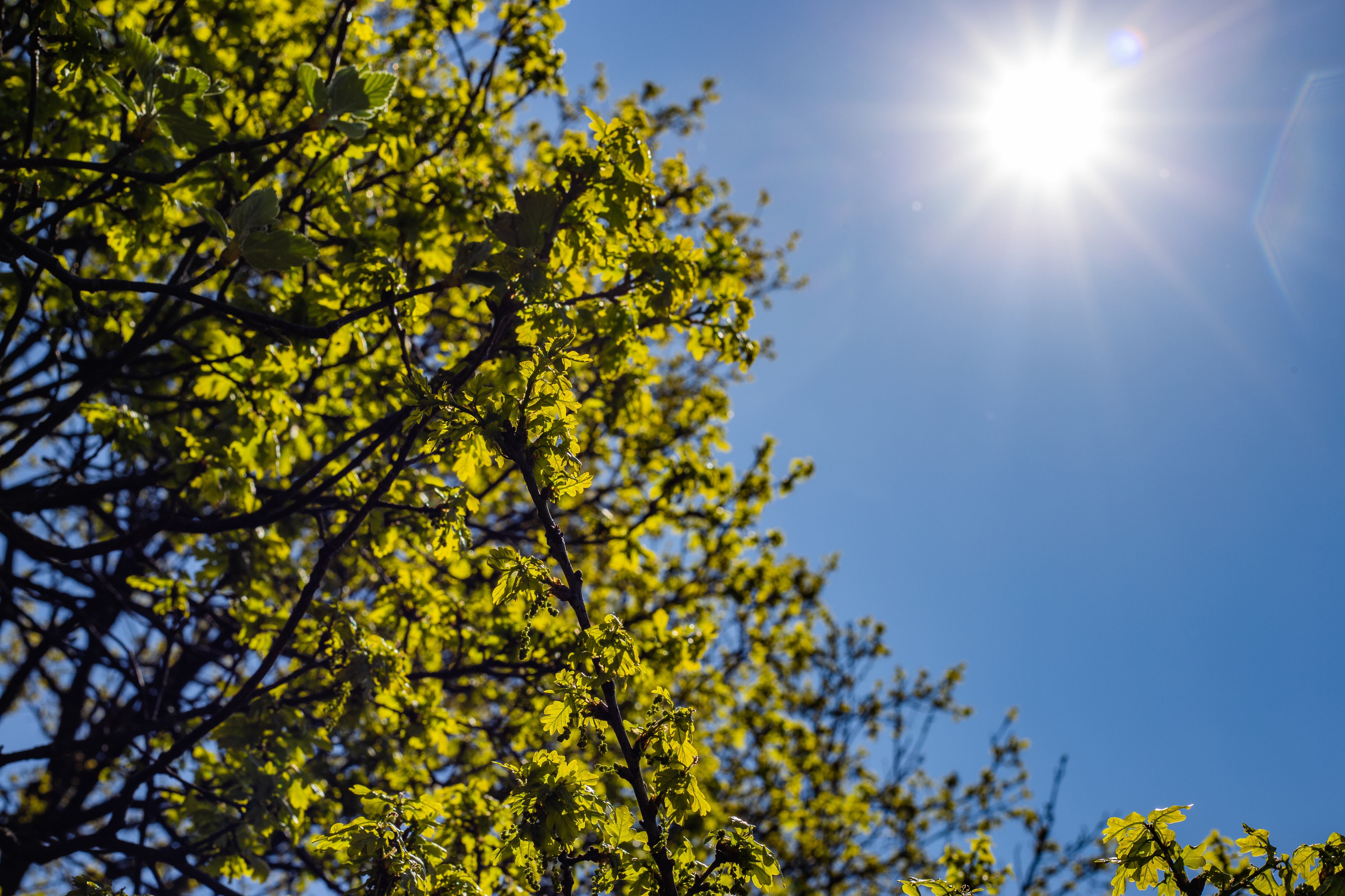 Clima soleado
