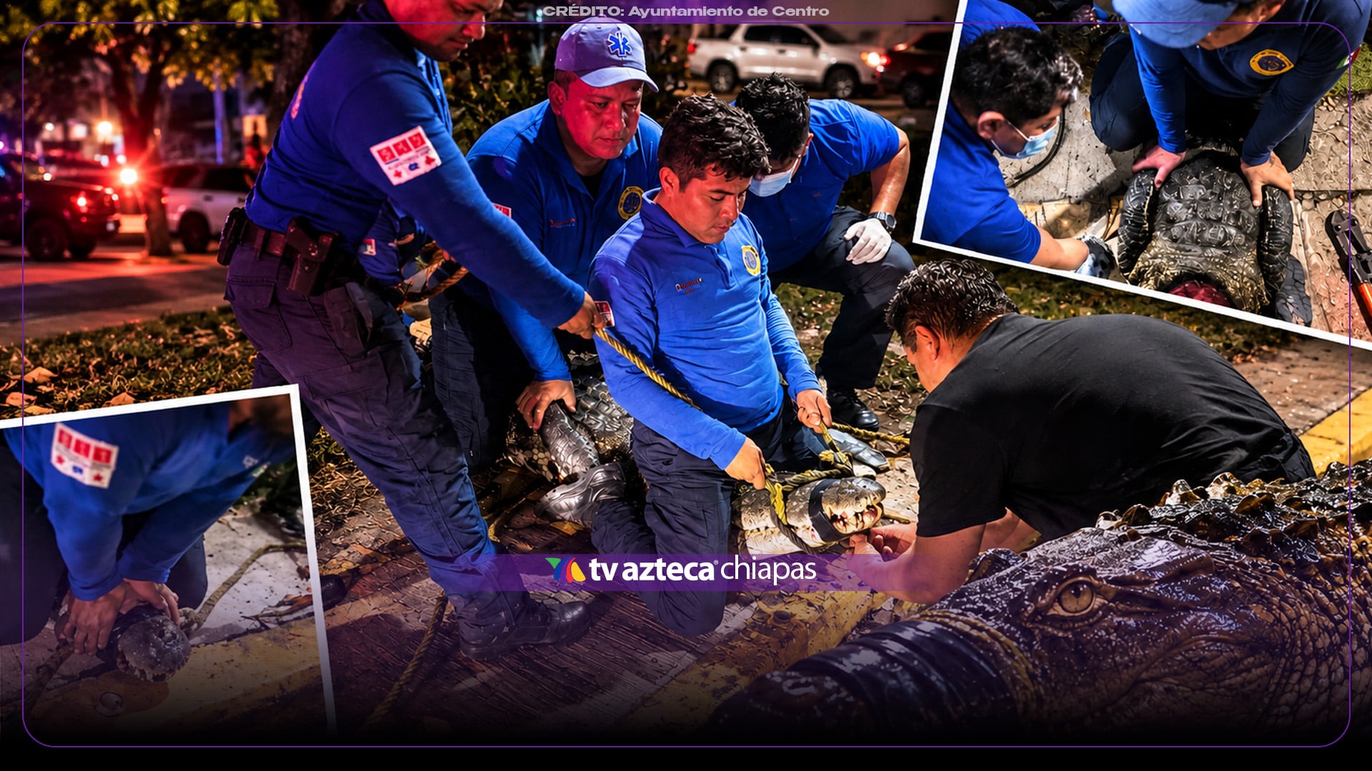 ¡Impactante! Reportan avistamiento de cocodrilo en las calles de Villahermosa