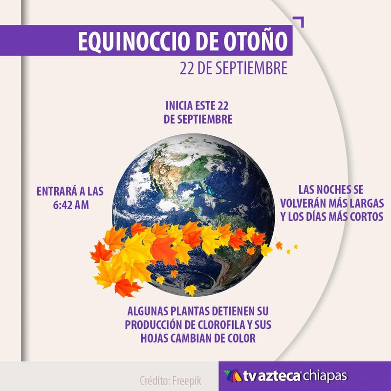 Ya es otoño de otoño y te explicamos sus características