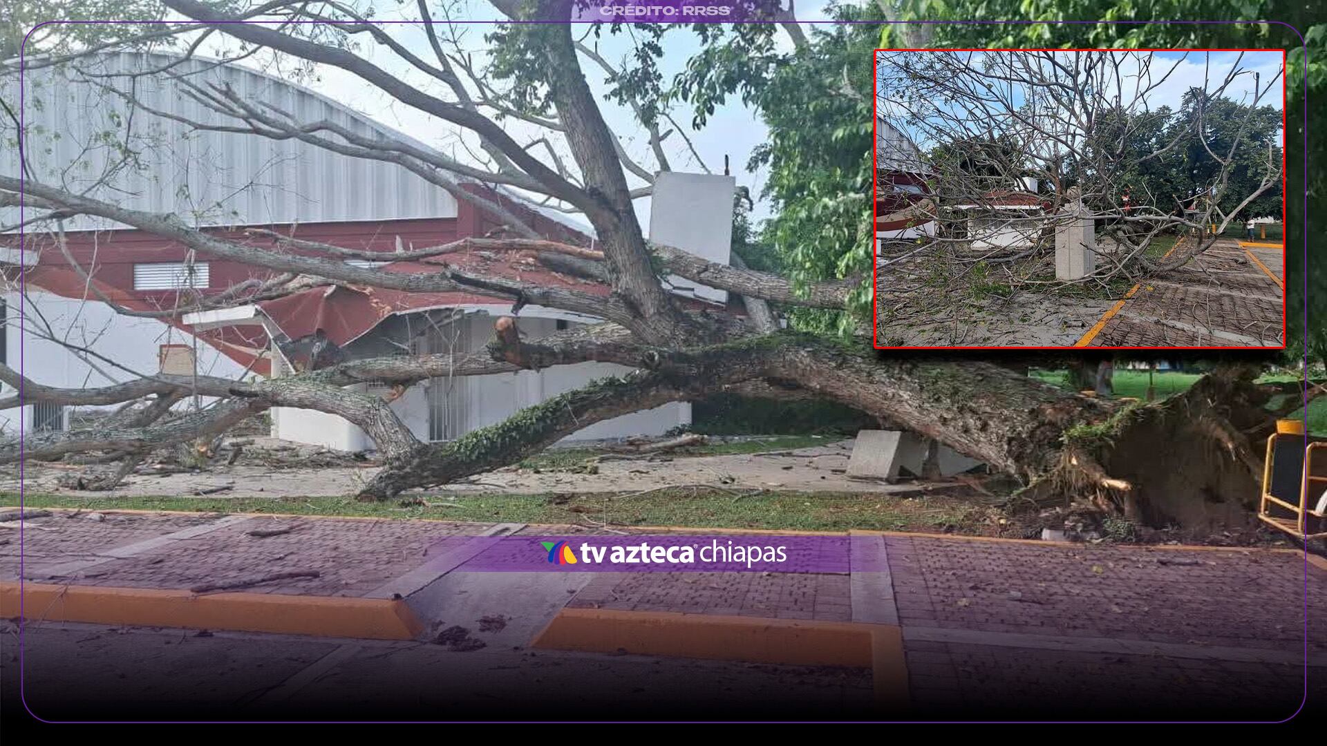 Árbol cae sobre inmueble en Nacajuca, Tabasco