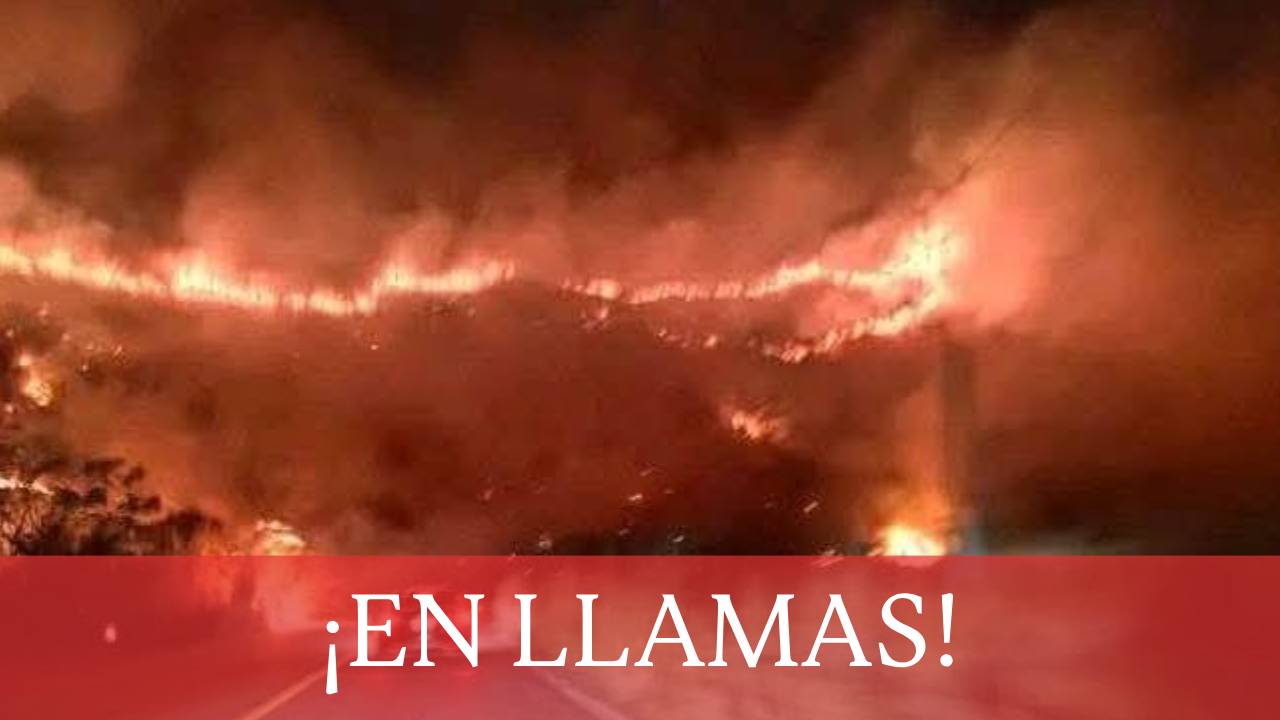 El incendio fue registrado la noche de este miércoles 12 de marzo del 2025 a orillas de la carretera de Tuxtla Gutiérrez - Villaflores.